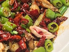 -时光码头民谣公社