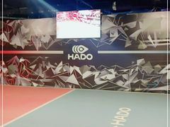 -VS SPORTS PARK运动玩乐园·团建·生日会(合生汇店)
