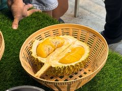 -都念榴莲·城市榴莲