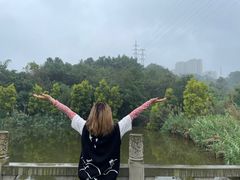 -张坝桂圆林公园