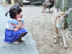 -费瑟代尔野生动物园