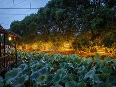 -军山湖云水间生态农业旅游景区