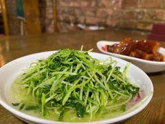 酒香豆苗-沈记菜馆(酒仙桥路店)