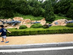 -棒棰岛宾馆景区