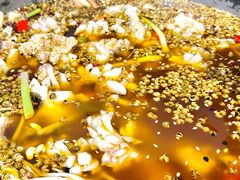 -重庆乌鱼庄·龙滋鲜(青羊大道店)