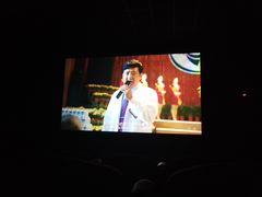 放映厅-大地影院(上海南汇店)