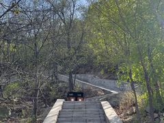 -大岭沟猕猴桃谷风景区
