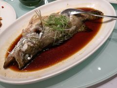 -新吉士·上海菜(浦东LCM置汇旭辉店)