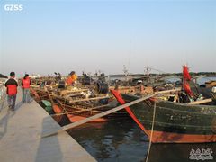 -大湾区中央湿地公园-十九涌