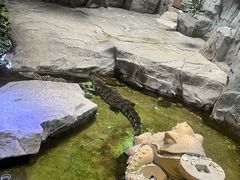 -泉城欧乐堡海洋极地世界