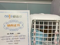-纳吉亚猫专科动物医院·北北分院