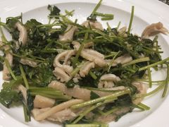 -宝轩渔府·老字号海鲜·正宗津菜(水上店)