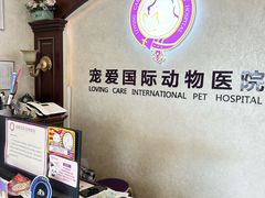 -宠爱国际动物医院·疑难骨科·心肾内科·皮肤科(太阳宫店)