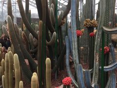 -南通洲际绿博园