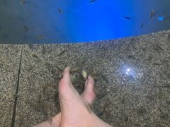 -宝丽金大酒店·洗浴中心