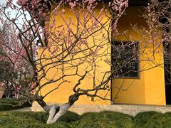 -红梅公园