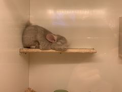 -龙猫仔乐园(惠福东路店)