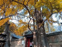 -青岛崂山太清宫
