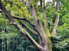 -维乐口腔医院(福清院)