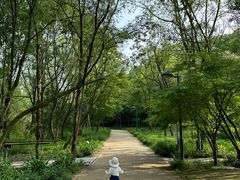 -西湖风景区-江洋畈生态公园