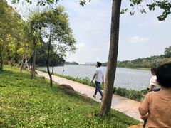 -南国桃园旅游度假区