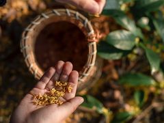 -苏州市吴中区光福窑上花果蜜饯厂