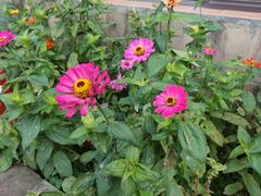 -水乡人家私房菜(逢简店)
