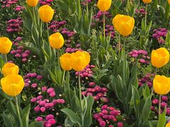 -杭州师范大学(下沙校区)