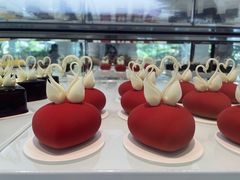 -罗红摄影艺术馆