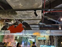 -正佳雨林生态植物园