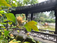-君庭中餐厅(友谊宾馆店)