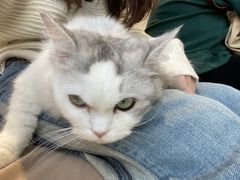 -怪兽屋·羊驼·猫咖·狗咖(俊华广场店)