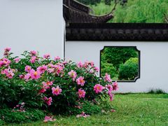 -盆景园(扬州大运河文化旅游度假区)