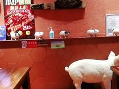 -猪角·闽南猪脚饭(华闽大厦店)