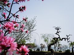 -无锡蠡湖国家湿地公园-蠡园