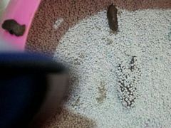 -宠颐生宠物医院·综合诊疗(先锋分院)