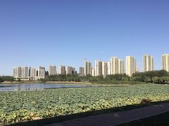 -丁香湖公园