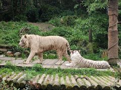 -贵州森林野生动物园