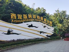 -西双版纳原始森林公园