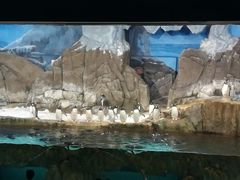 -成都浩海立方海洋公园