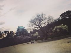 -名古屋城