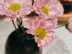 -西湖春天(中州店)