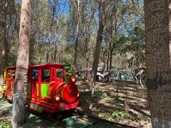 -长白岛森林公园