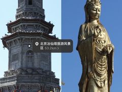 -途柚团建·拓展培训·年会策划