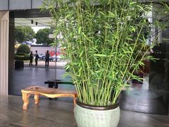 -上海外滩英迪格酒店