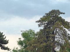 -榆次老城