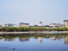 -莲花池公园