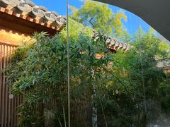 -曲廊院(东四十一条店)