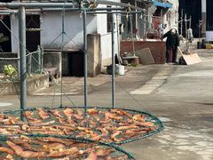 -东钱湖旅游度假区