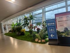 -温州龙湾国际机场